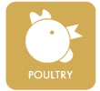 Poultry icon